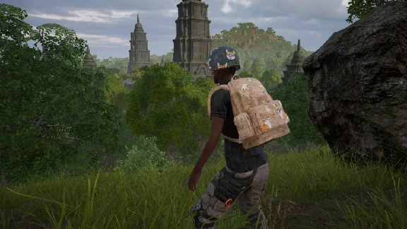 PUBG 2020 Corgi Helmet 2 (legal code) Region free