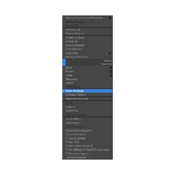 Paste Ref Image