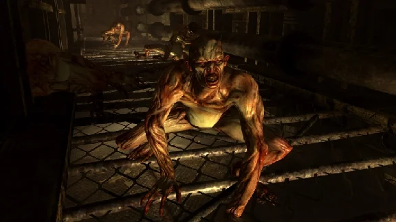 Fallout 3: The Pitt (Steam key) -- RU