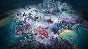 Age of Wonders: Planetfall - Star Kings (Steam) -- RU
