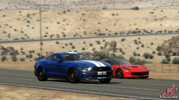 Assetto Corsa (Steam key) -- RU