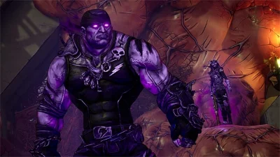 Borderlands 3 - Psycho Krieg + Fantastic Fuster -- RU