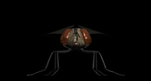 Fly 3D Model