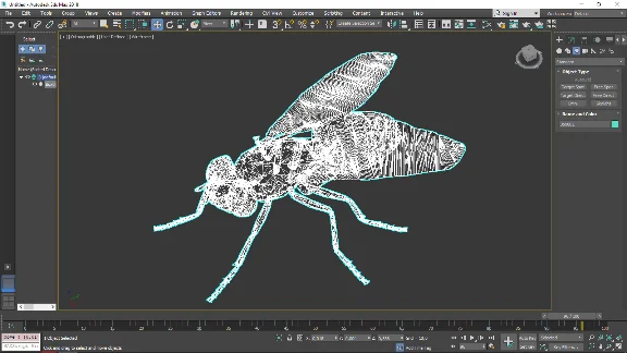 Fly 3D Model