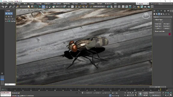 Fly 3D Model
