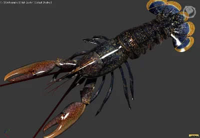 Лобстер 3D модель