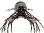 Lobster 3D model