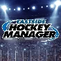 🔥Eastside Hockey Manager 💳 Steam Key Global + 🧾Check