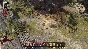 Divinity: Original Sin 2 - Definitive Edition [STEAM]