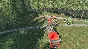 Farming Simulator 19 Premium [STEAM] Offline 🌍GLOBAL