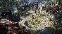 DIVINITY: ORIGINAL SIN 2 - DEFINITIVE EDITION XBOX🔑KEY