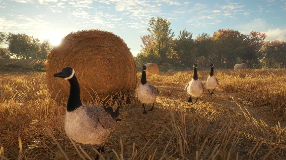 The Hunter: Call of the Wild Fresh Steam Account