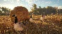 The Hunter: Call of the Wild Fresh Steam Account
