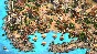 Age of Empires II: Definitive Edition Lords of the West
