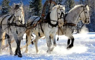 Romance Snow is shining under the moon - notes, tabs