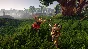 ⭐️ Outward - STEAM (Region free)