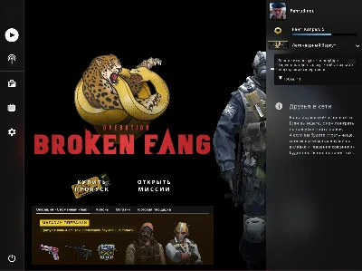 💥CS:GO account has a Rank🚩(RANK EAGLE) PERSONAL💥