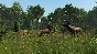 🔶DayZ Livonia (STEAM GIFT RU)+BONUS