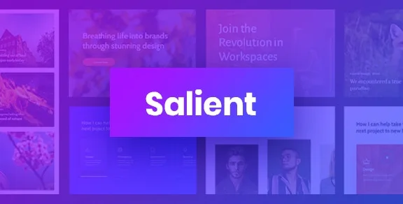 Salient [17.3.0] - Русификация премиум темы 🔥💜