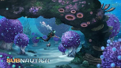SUBNAUTICA + SUBNAUTICA BELOW ZERO ・STEAM ACCOUNT