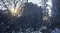 ⚡️Resident Evil 7 Gold & Village Gold | AUTODELIVERY RU