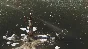 Disco Elysium - The Final Cut STEAM•RU ⚡️АВТО 💳0%