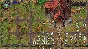 Graveyard Keeper Collector´s Edition [STEAM] Offline