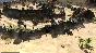 Kingdom Wars 2: Definitive Edition STEAM KEY GLOBAL