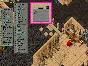 Ultima online - Olmer online "Autoloot magnetic stone"