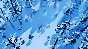 The Wild Eight (Steam key / Region Free)