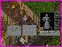 Ultima online - Olmer online "Kinston citizen pack"