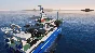 Fishing: Barents Sea STEAM KEY REGION FREE GLOBAL ROW🎁