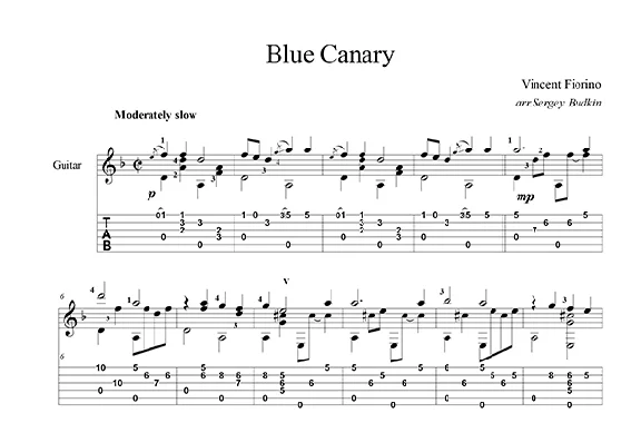 Blue canary - guitar cover
