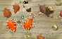 🔶SPORE (STEAM GIFT RU)+BONUS