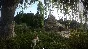 Kingdom Come Deliverance Royal Edt Xbox One Code Россия
