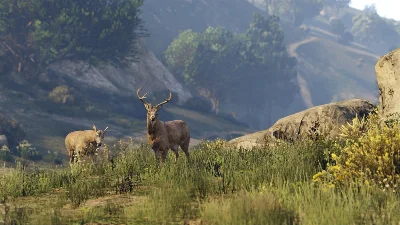 Grand Theft Auto V: Megalodon Shark Card (Xbox) -- RU