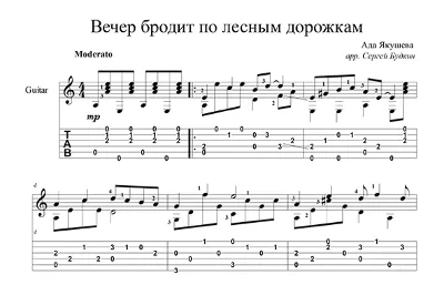 Evening roams the forest paths - guitar cover