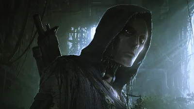 ✅ Wasteland 2: Director&acute;s Cut Xbox One|X|S key