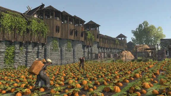 Life is Feudal: Forest Village 💎STEAM KEY REGION FREE
