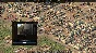 ⭐️  Nebuchadnezzar - STEAM (Region free)