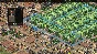 ⭐️  Nebuchadnezzar - STEAM (Region free)