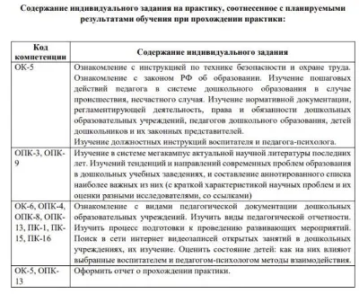 Ознакомительная практика Синергия ППО_ПиПДО