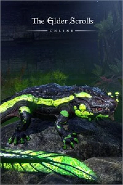 💎The Elder Scrolls Online: Newcomer Pack XBOX KEY🔑