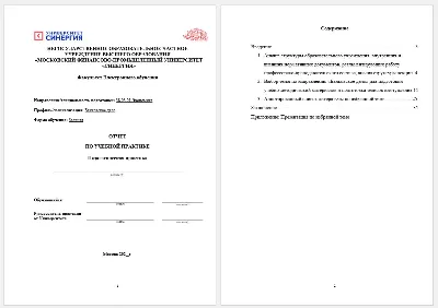 Практика Синергия Банковское дело (Педагогическая Э_БД)