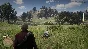 RDR 2 ✅ SOCIAL CLUB/ONLINE/RDR2 ✅ FULL ACCESS + MAIL 🔥