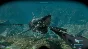 Shark Attack Deathmatch 2 (Steam Key 🔑 / Global)