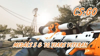 ⏩ Медали ⭐ за 5 & 10 лет Службы ✅ + Почта 🦄