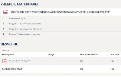 Практика Менеджмент Синергия (Управление ресурсами)