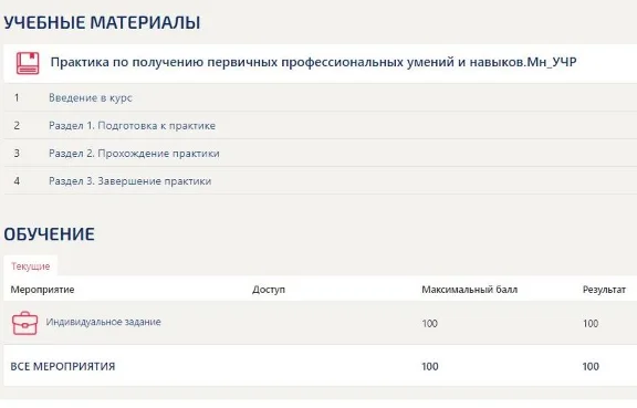 Практика Менеджмент Синергия (Управление ресурсами)