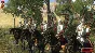 Mount & Blade: With Fire & Sword (Steam Key/RU+CIS)